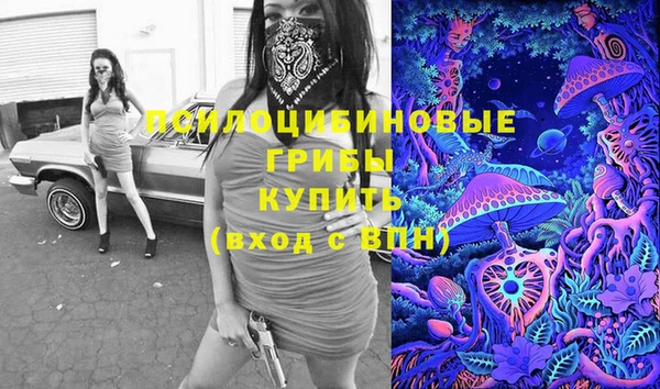 spice Нязепетровск