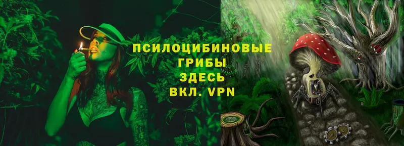 Галлюциногенные грибы Psilocybe  Ишимбай 