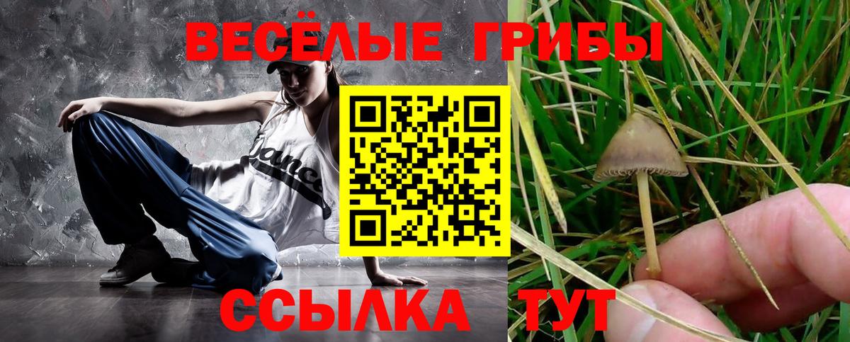 Псилоцибиновые грибы прущие грибы  Вход с VPN  Ишимбай 