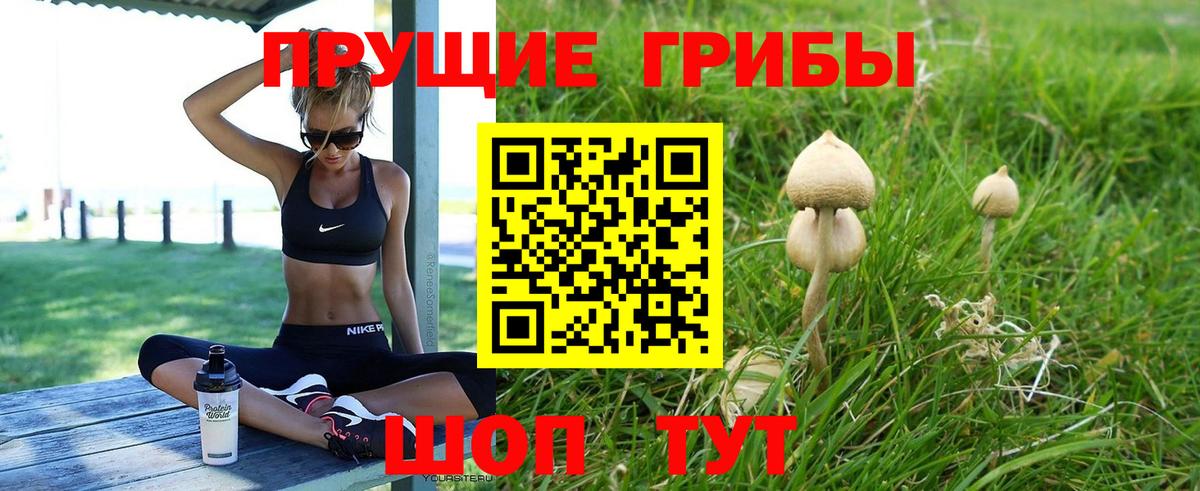 Псилоцибиновые грибы Psilocybe Ишимбай