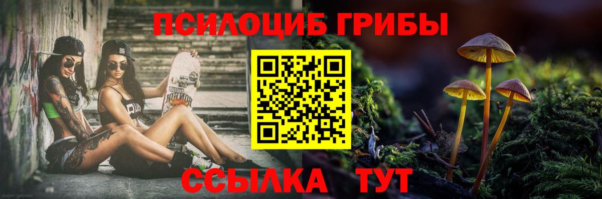 Псилоцибиновые грибы ЛСД  Ишимбай  Псилоцибиновые грибы Psilocybine cubensis 